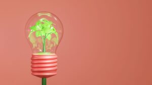 Développement durable et responsabilité sociale en entreprise